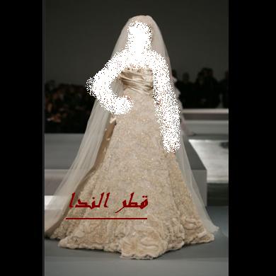 فساتين زفاف قطر الندا عند عرائس الجزائر وبس (1)