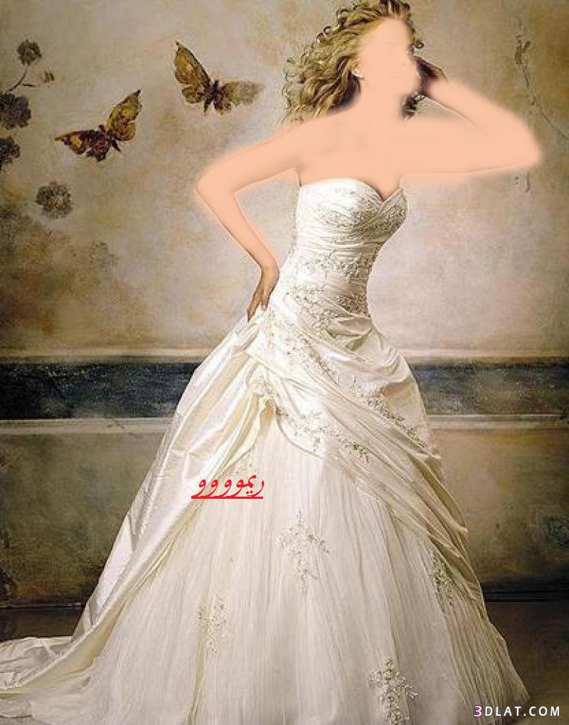 فساتين زفاف 2021,اجمل فساتين الزفاف فى عرائس الجزائر وبس,فساتين زواج رائعه,اجدد فساتين ز
