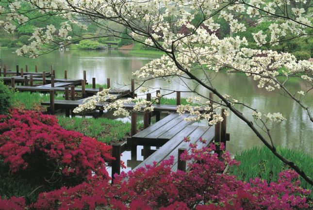 أشيكاجا حديقة الحب - حديقة اشيكاغا باليابان 3dlat.com_14085184121