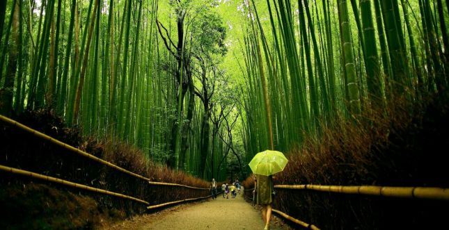 أشيكاجا حديقة الحب - حديقة اشيكاغا باليابان 3dlat.com_14085186091