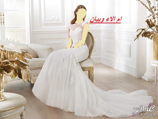 فساتين العروس 2024,احذث تشكيلة لفساتين الزفاف لاحلى عروس